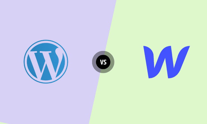 Webflow vs Wordpress. And why we moved to Webflow?
